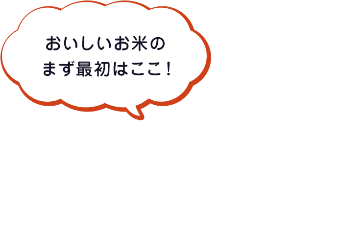 おいしいお米のまず最初はここ！