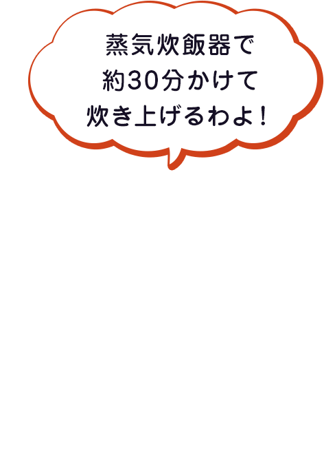蒸気炊飯器で約30分かけて炊き上げるわよ！